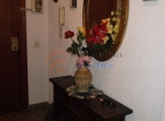 Imagen 024